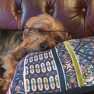 Meet your Posher, John